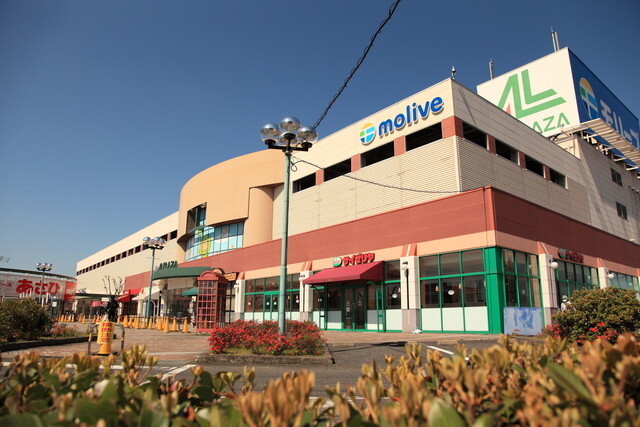 スーパー　モリーブ（スーパー）まで1100m