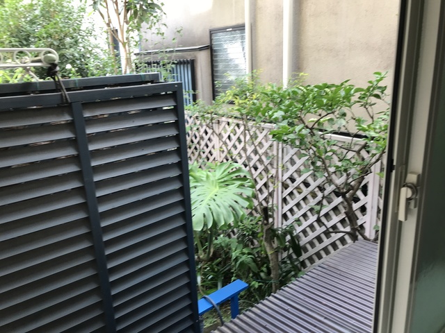 庭