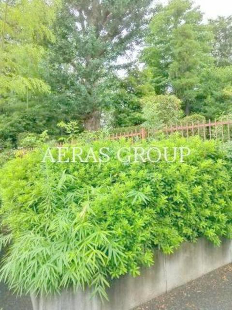 その他　植栽