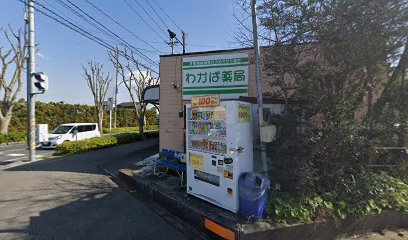 ドラックストア　わかば薬局（ドラッグストア）まで219m