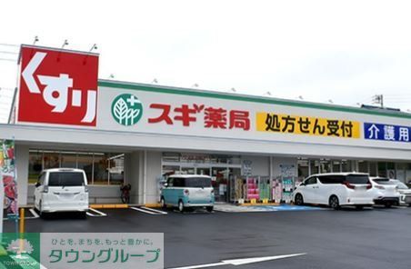 ドラックストア　スギ薬局極楽店（ドラッグストア）まで780m