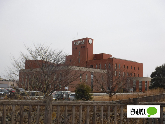 大学・短大　私立東京福祉大学（大学・短大）まで350m