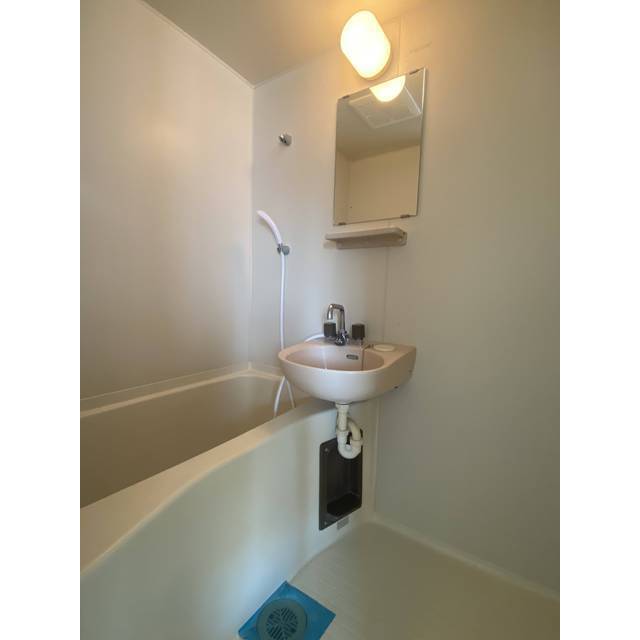 バス・シャワールーム　※同タイプ別部屋参考写真