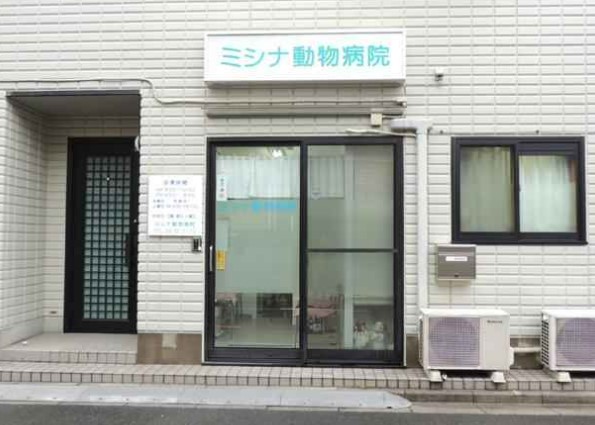 病院　ミシナ動物病院（病院）まで160m