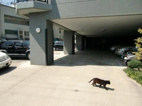 その他共有部分　駐車場