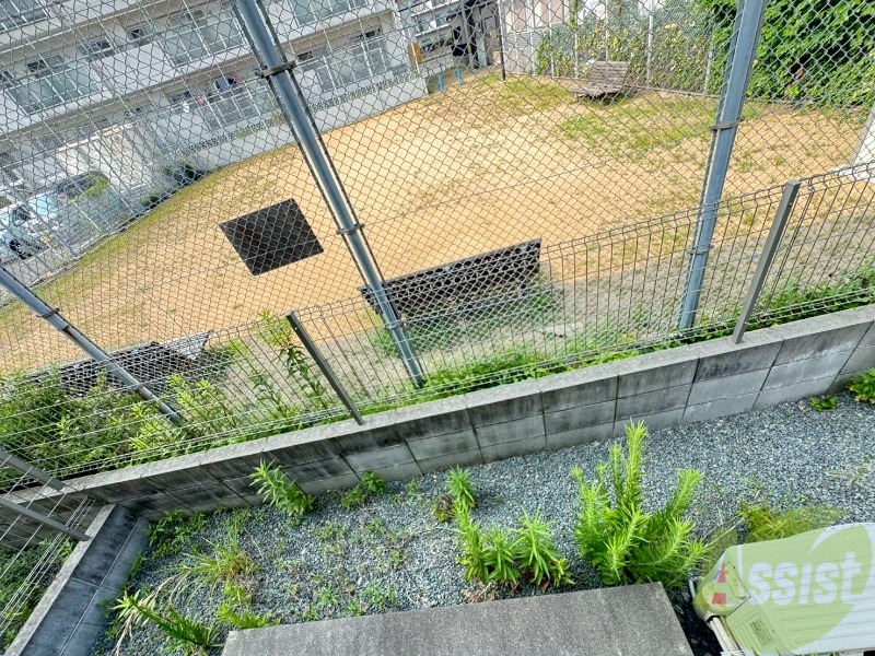 庭
