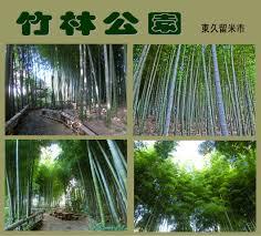 公園　竹林公園（公園）まで1025m