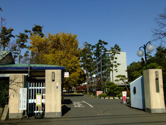 大学・短大　相模女子大学（大学・短大）まで1800m