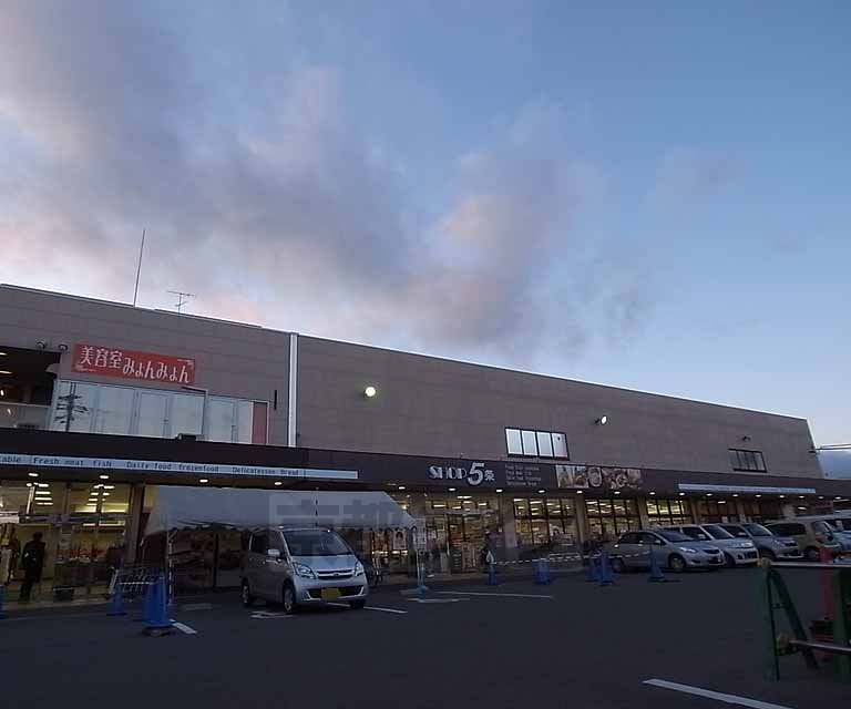 スーパー　ショップ５条（スーパー）まで450m