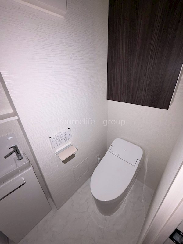 デュオステージ海老名IIのトイレ写真