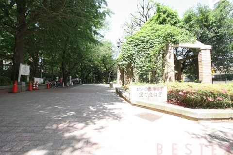 公園　教育の森公園（公園）まで300m