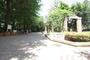 公園　教育の森公園（公園）まで300m