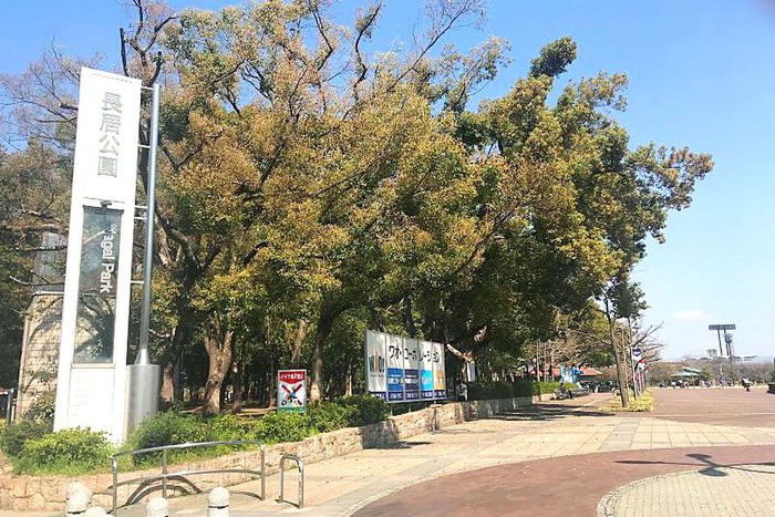公園　長居公園（公園）まで290m