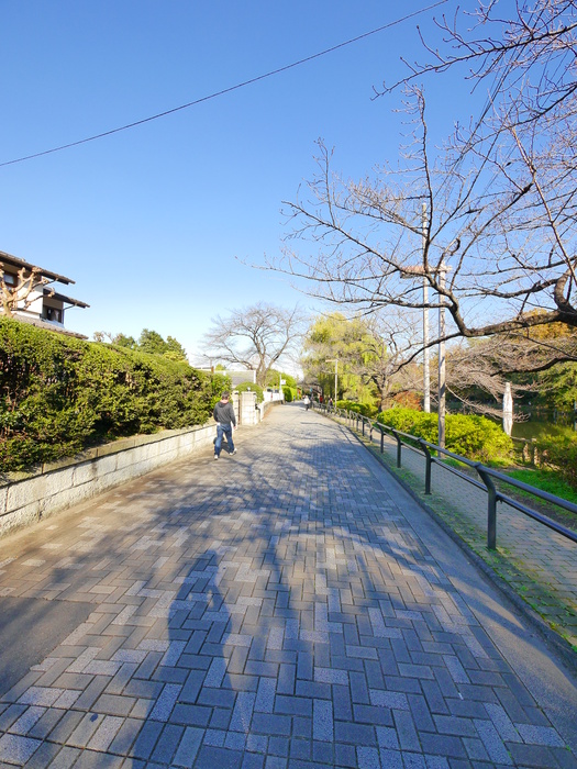 公園　石神井公園（公園）まで680m