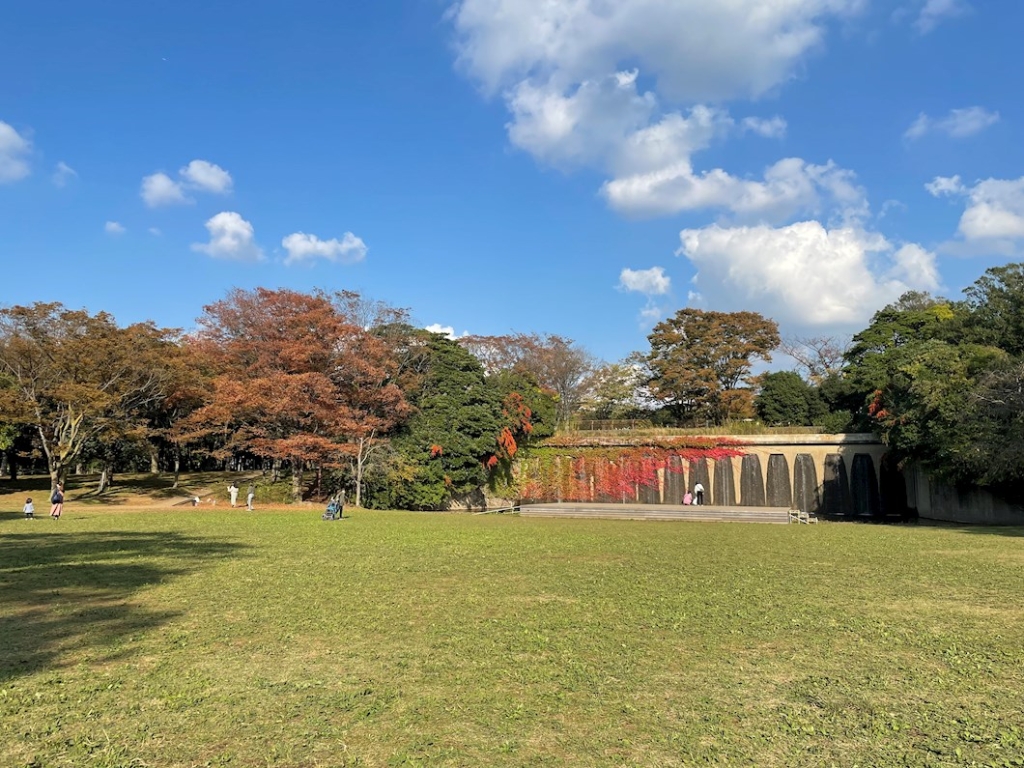 公園　中央公園（公園）まで184m