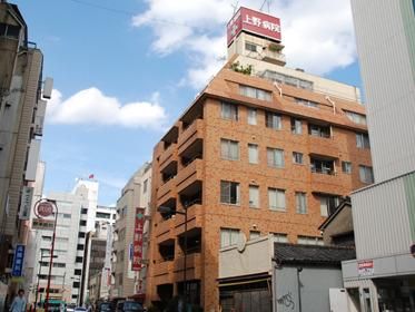 病院　医療法人社団全仁会上野病院（病院）まで243m
