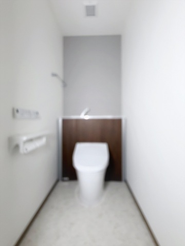 GRAND URBIC HARAのトイレ写真
