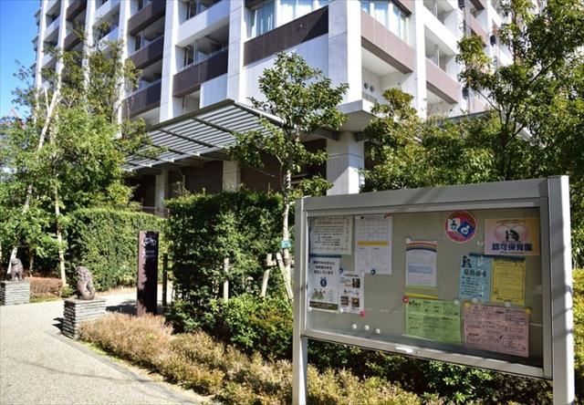 幼稚園・保育園　ひまわりキッズカーデン有明の森（幼稚園・保育園）まで556m