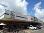 スーパー　鮮ど市場 元宮店（スーパー）まで260m