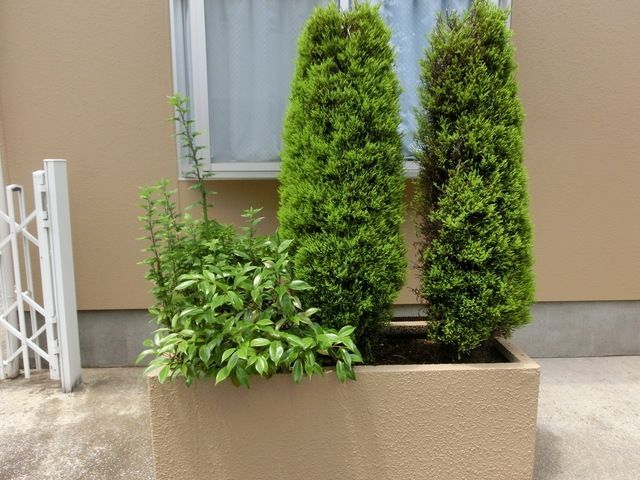 庭　★植栽です★