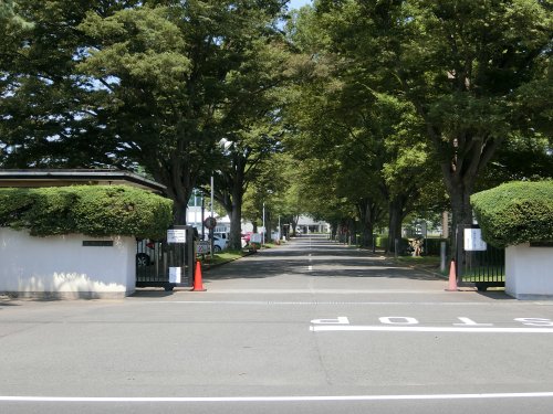 大学・短大　東洋大学川越キャンパス（大学・短大）まで570m