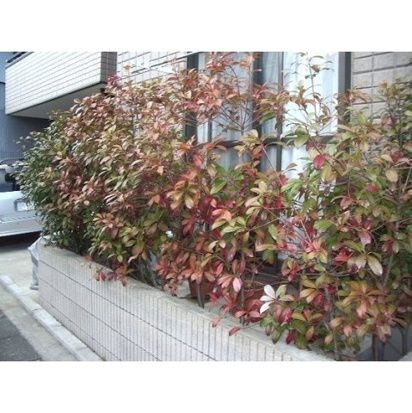 ＪＲ東海道本線 大船駅 徒歩25分 2階建 築25年の外観写真