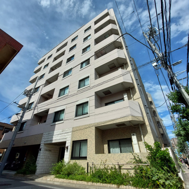 建物外観　８階建ての賃貸マンション