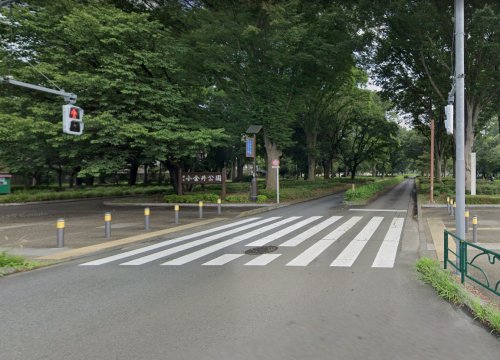 公園　小金井公園（公園）まで1601m