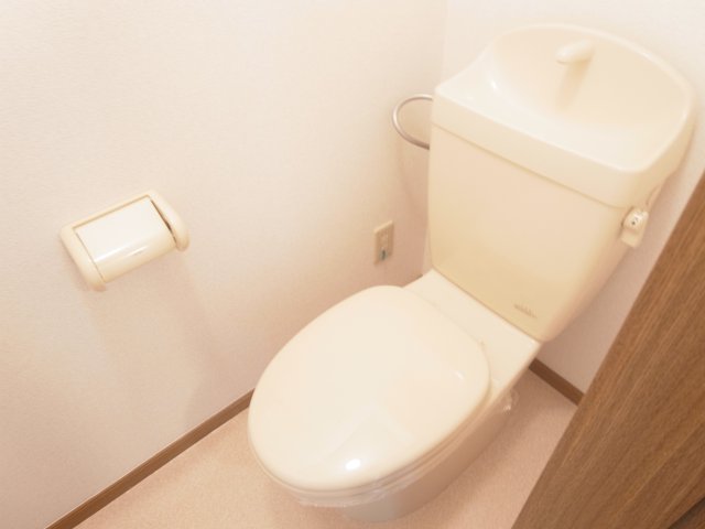 近鉄大阪線 大和八木駅 徒歩18分 2階建 築25年のトイレ写真