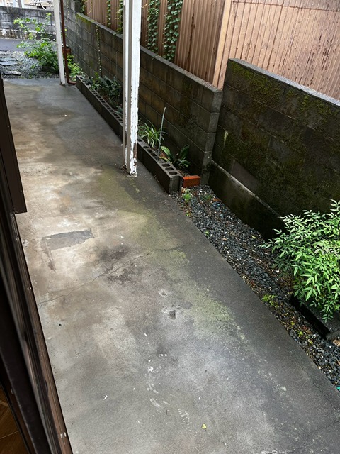 庭