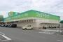 ドラックストア　ジップドラッグ小坂井店（ドラッグストア）まで892m