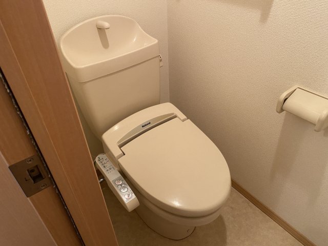 パークハイム吾妻のトイレ写真
