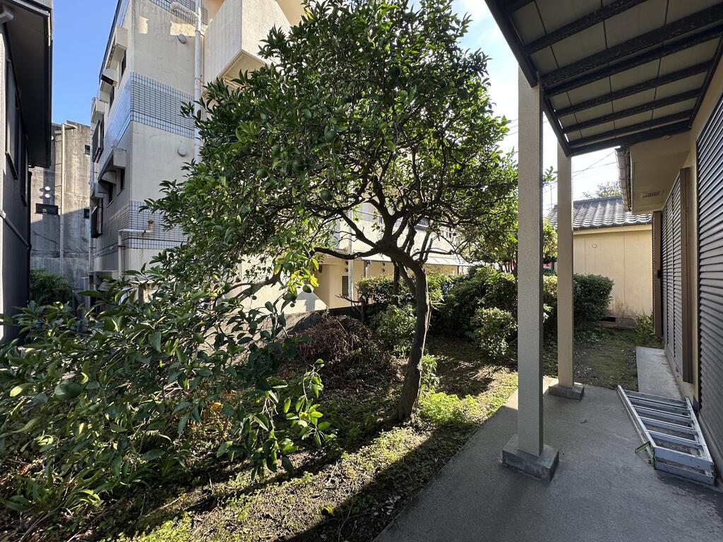 紫原林貸家のその他写真