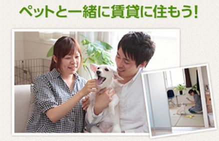 アルフラットの居間写真