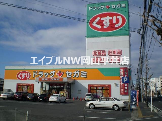 ドラックストア　ドラッグセガミ原尾島店（ドラッグストア）まで1446m