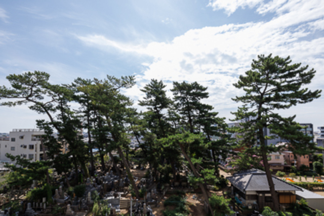 パークアクシス市川のその他写真