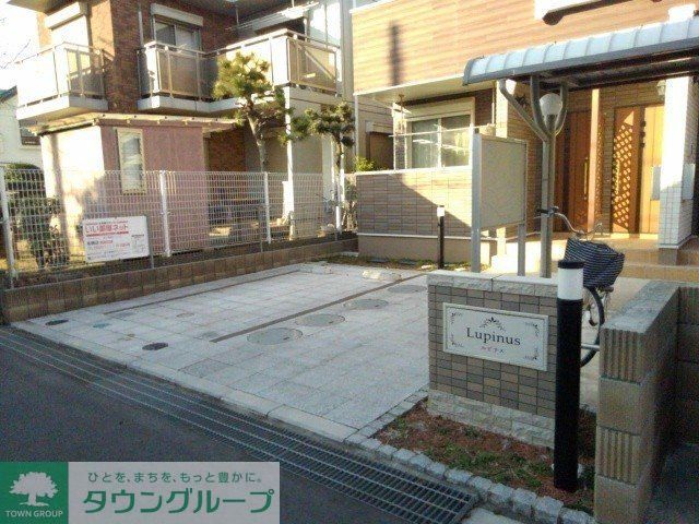 ルピナスのその他写真