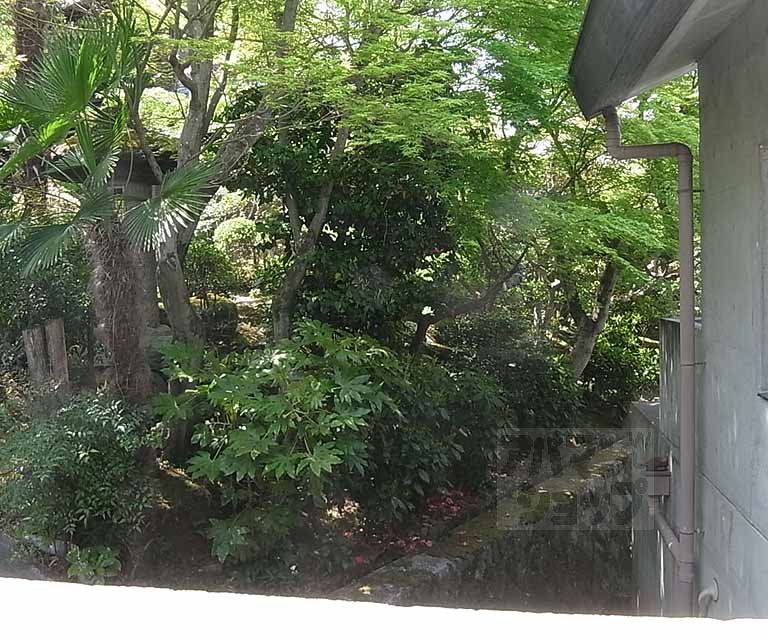 眺望　室外風景