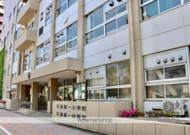 小学校　月島第一小学校（小学校）まで244m