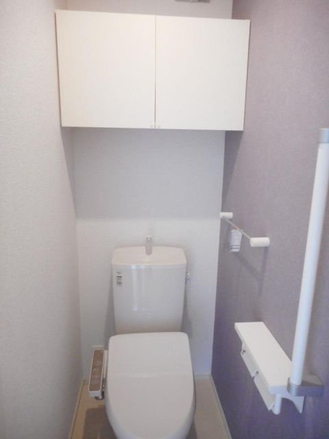 ＪＲ福塩線 戸手駅 徒歩16分 2階建 築8年のトイレ写真