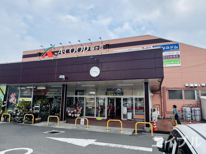 シンデン A棟の周辺写真
