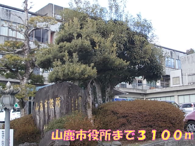 役所　山鹿市役所（役所）まで3100m