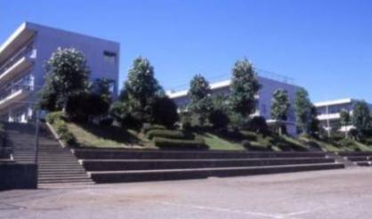 小学校　秦野市立渋沢小学校（小学校）まで1245m