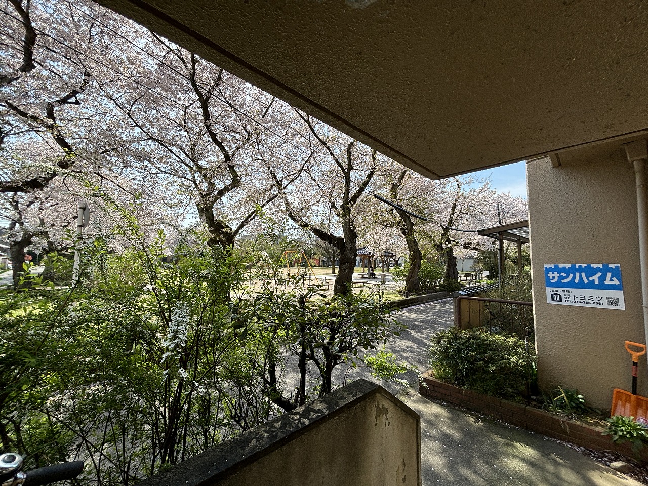 眺望