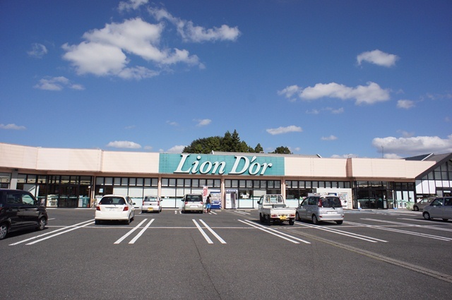 スーパー　リオン・ドール（スーパー）まで1090m