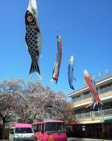 【グランドール湘南Ａの幼稚園・保育園】