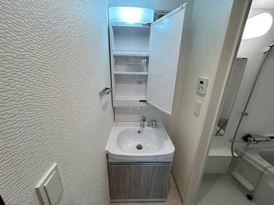 洗面設備　※別号室の写真です