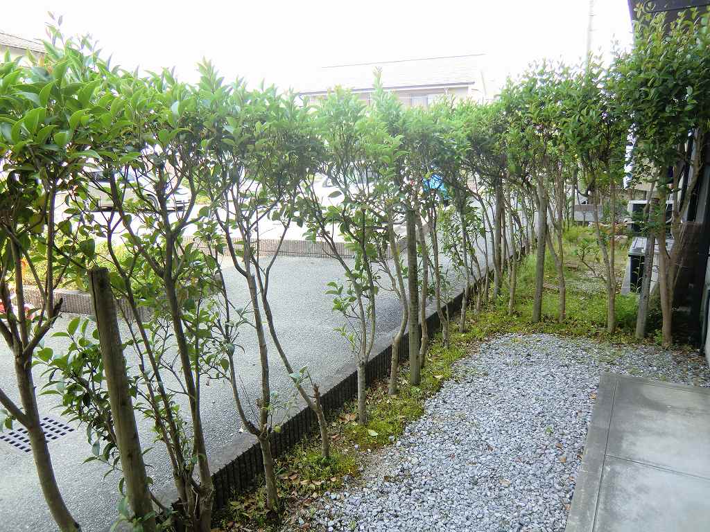 バルコニー　専用庭　※別号室参考写真