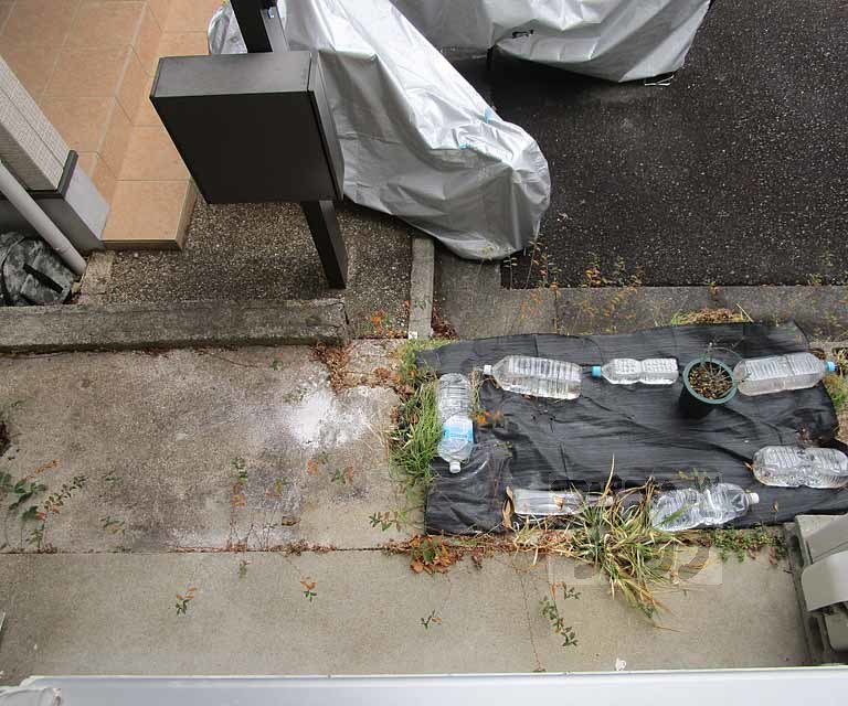 バルコニー　１０１号室の写真です。