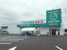 ドラックストア　ザグザグ水江店（ドラッグストア）まで537m